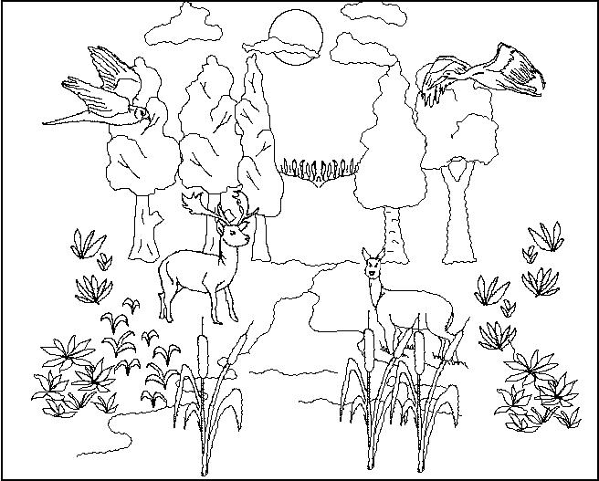 page 02